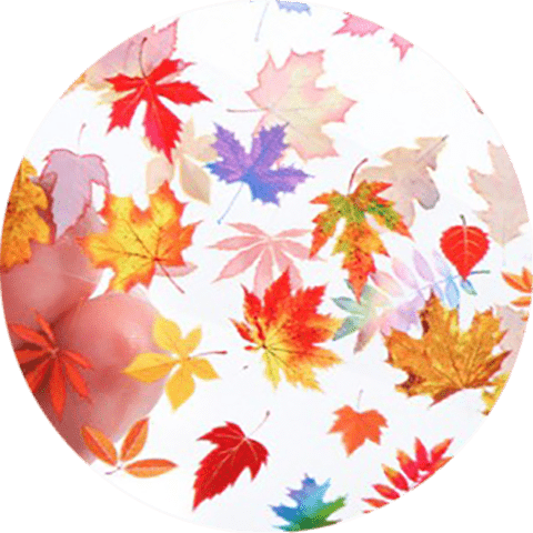 Fall Leaves Foil in Tube