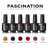 Fascination-  Fall 2019 FULL SIZE Collection -  Luxio