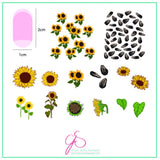 Sunflowers (CjS-163) - CJS Medium Stamping Plate
