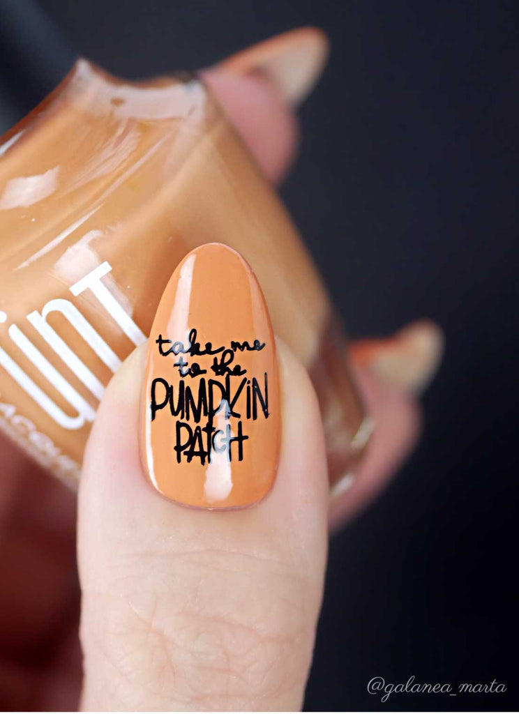 Hello Fall & Pumpkin Spice 2- Uber Chic Mini Stamping Plate