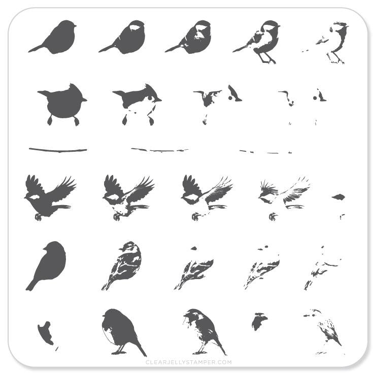 Itty Bitty Birds (CjS-30) -  CJS Small Stamping Plate