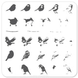 Itty Bitty Birds (CjS-30) -  CJS Small Stamping Plate